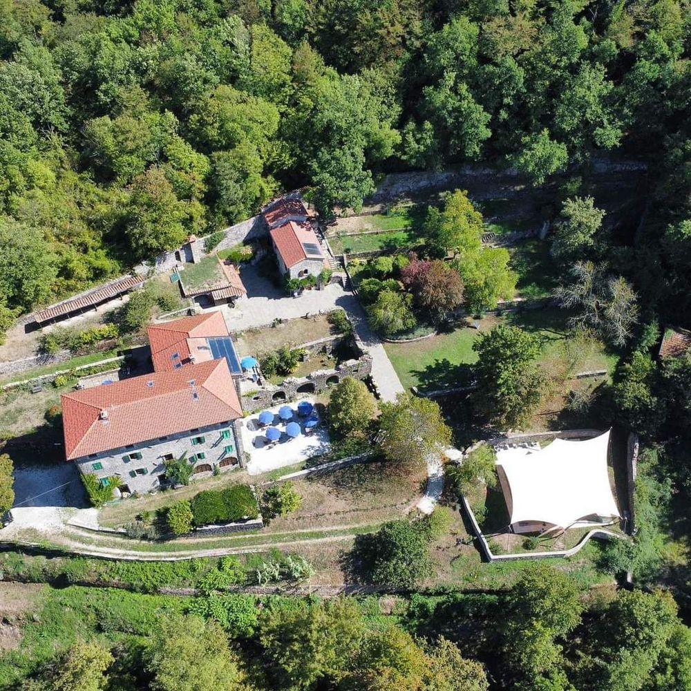 Festival Ground