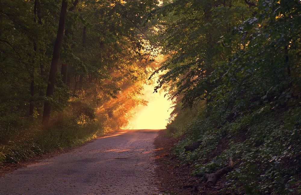 The golden middle way